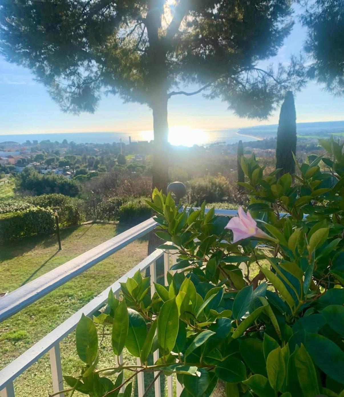 Tra Gli Alberi E Il Mare Panzió Sirolo Kültér fotó